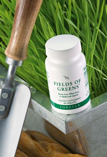 FIELDS OF GREENS – Image 2